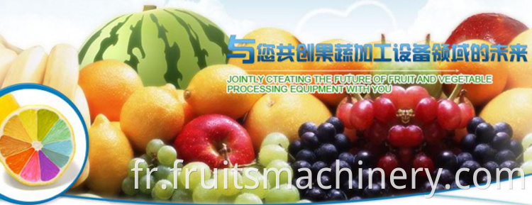 Full automatic industrial chilli sauce processing machine